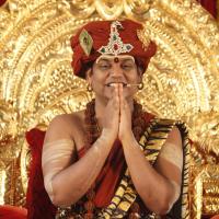 20140503_Photo_1036__MG_4231_CMP_WM